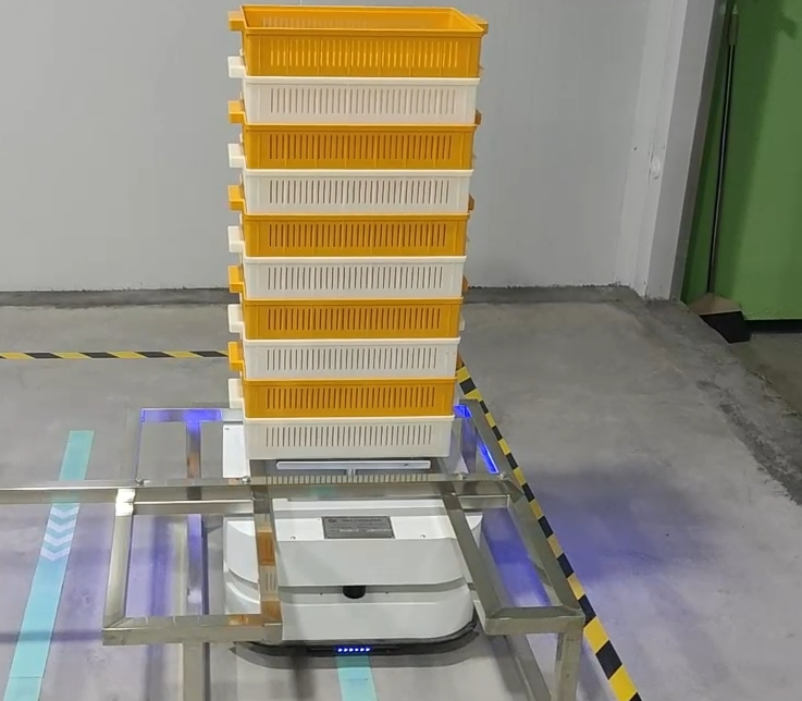 Lifting AGV docking beneath a metal tray carrier frame
